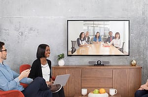 videoconferencing-digitaal stemmen